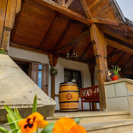 Casa Elena - Resort & Spa Voroneț Extérieur photo