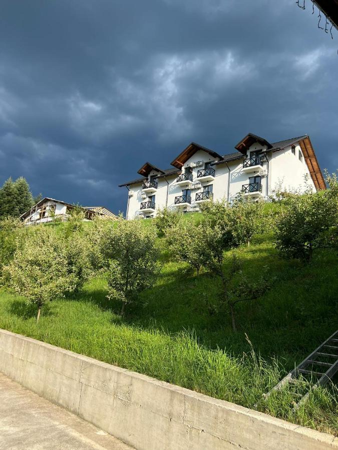 Casa Elena - Resort & Spa Voroneț Extérieur photo