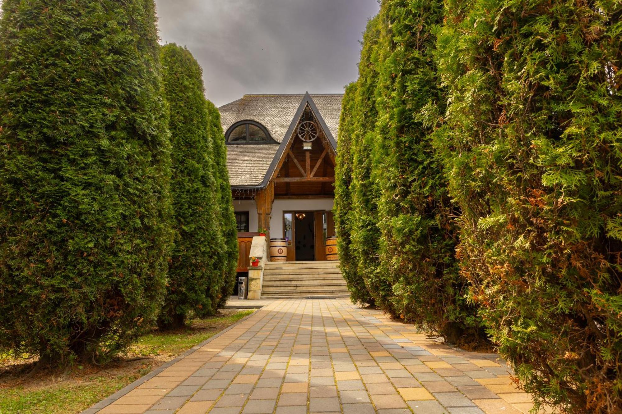 Casa Elena - Resort & Spa Voroneț Extérieur photo